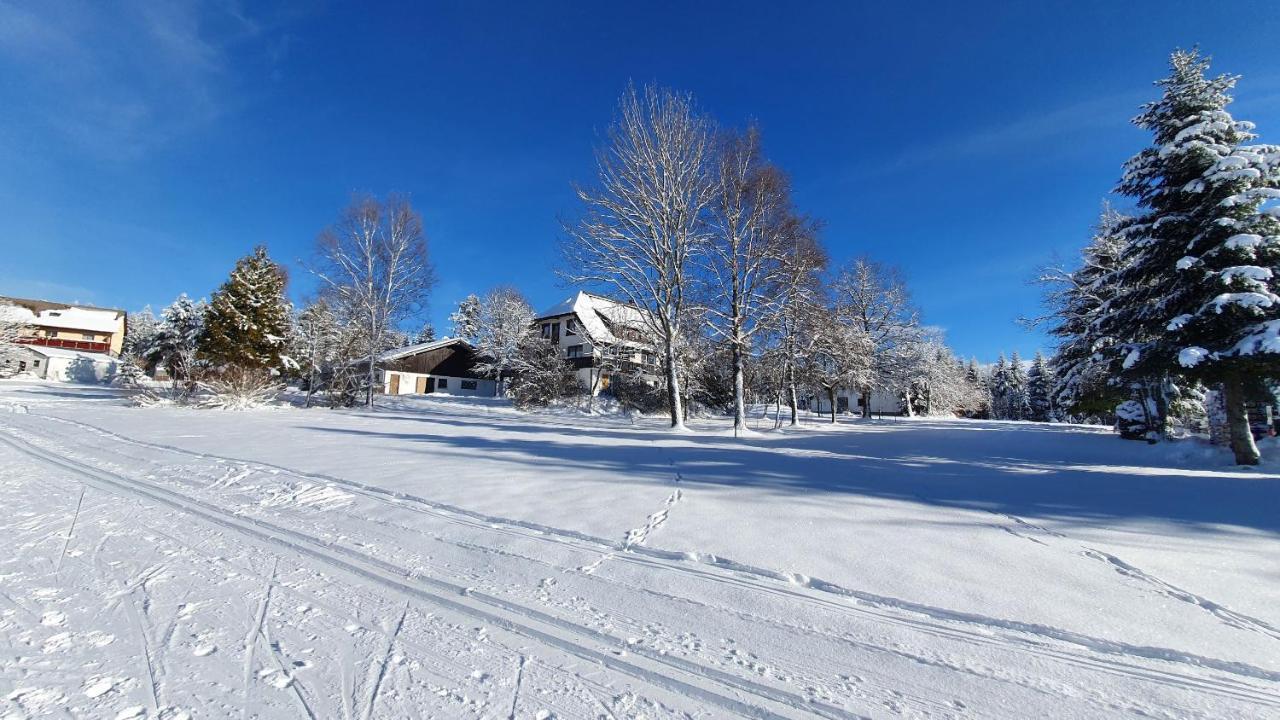 Apartamento Haus Schonblick Kniebis Exterior foto